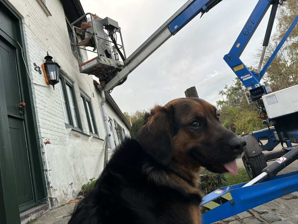Schilderwerk op hoogte bij een woning